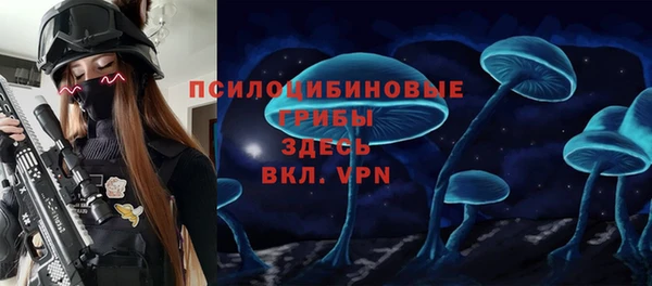 твердый Касимов