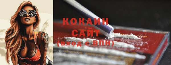 твердый Касимов