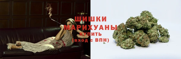 твердый Касимов