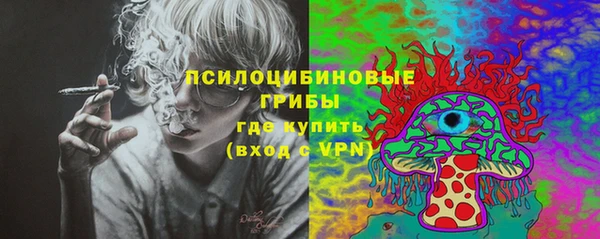 твердый Касимов