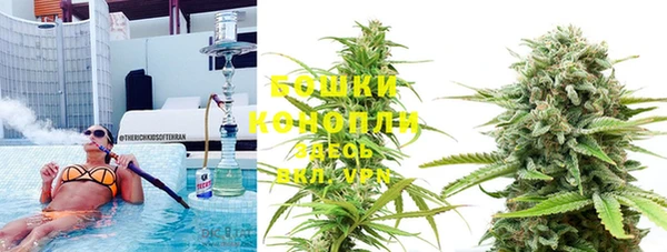 гидропоника Карпинск
