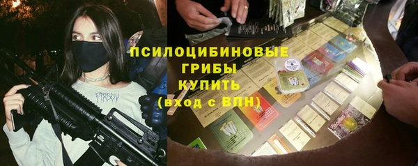 гидропоника Карпинск