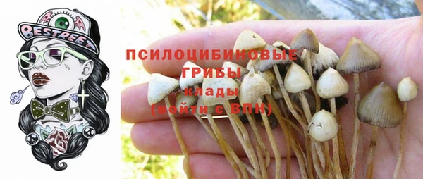 гидропоника Карпинск