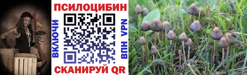 Купить закладки  Благодарный  Галлюциногенные грибы Cubensis 
